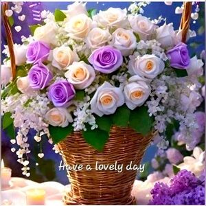 bundles 2 or more items save on shipping !